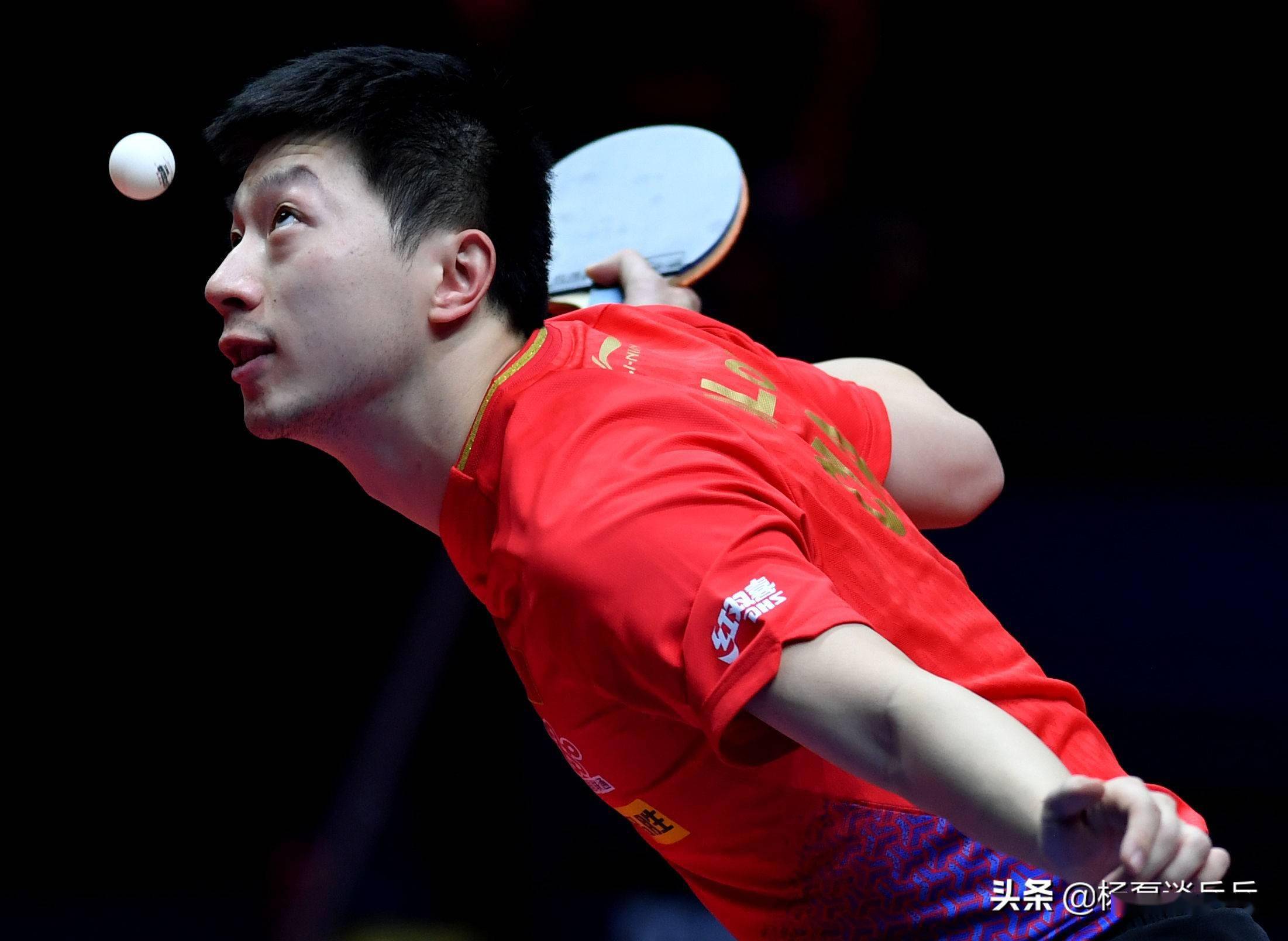 迷關注的焦 迷關注的焦