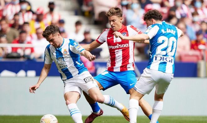 皇家马德里 皇家马德里